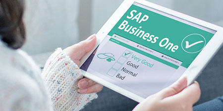 哲訊SAP Business One二次開發(fā)：解鎖潛力，實現(xiàn)定制化需求