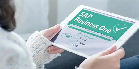SAP B1 內(nèi)部錯(cuò)誤，錯(cuò)誤代碼對應(yīng)的原因說明