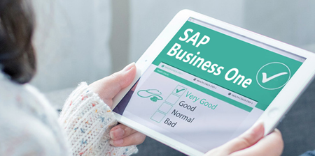 智馭增長，睿見未來：哲訊科技，以SAP Business One鑄就成長型企業(yè)的數(shù)字脊梁